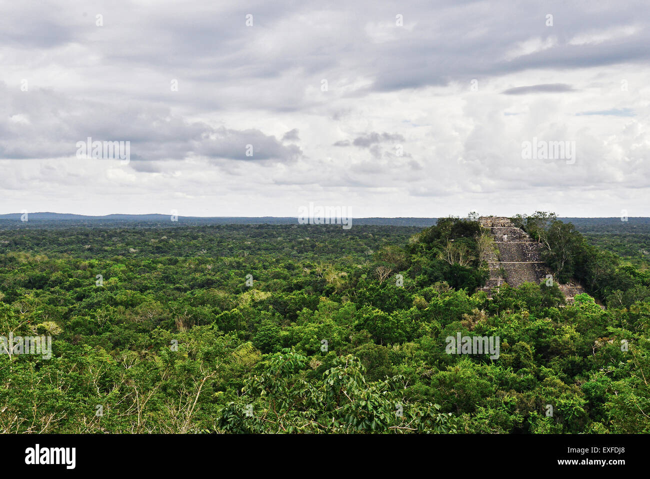 Struktur im Maya-Stadt von Calakmul, Calakmul Biosphären-Reservat, Campeche, Mexiko Stockfoto