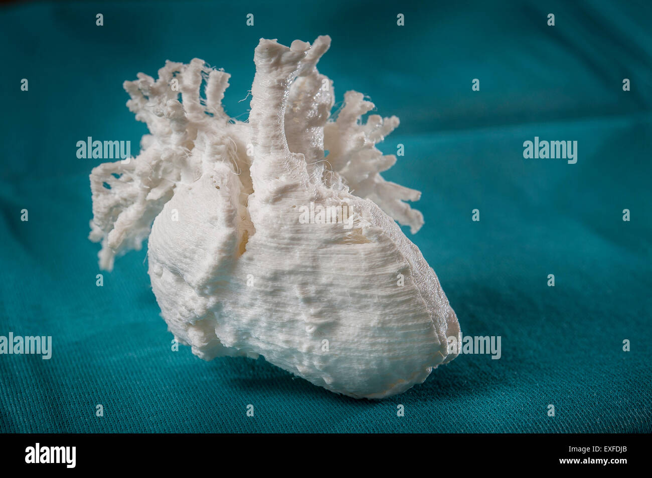 Gedruckte 3D-Modell des kindlichen Herzens Stockfoto