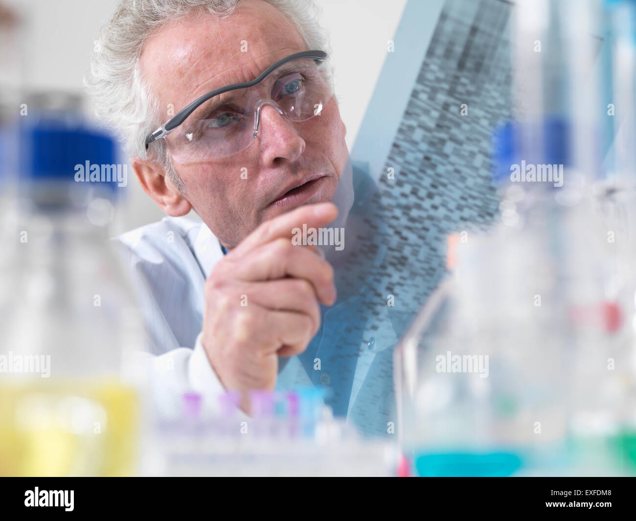 Wissenschaftler betrachten DNA Autoradiogram Experiment im Labor Stockfoto