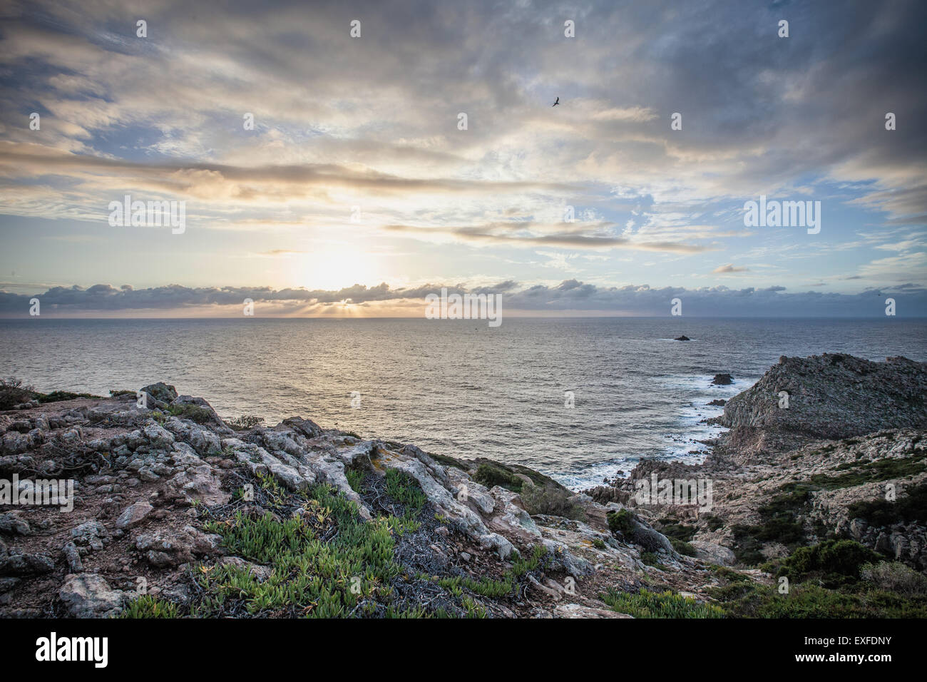 Küsten-Szene, Cagliari, Sardinien, Italien Stockfoto