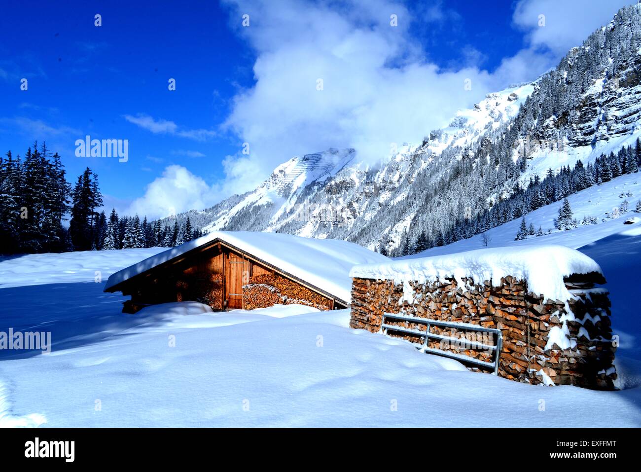 Wengen Schweiz Berner Oberland, Skifahren, Züge, Schnee, Blockhütten Stockfoto