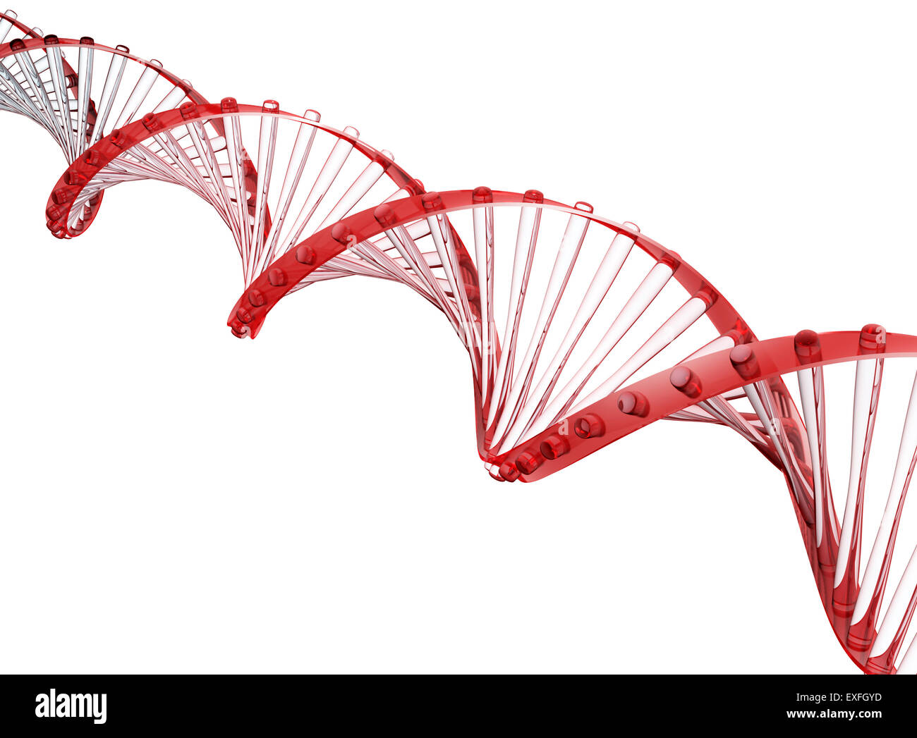 Glas-DNA-Strang auf weißem Hintergrund Stockfoto