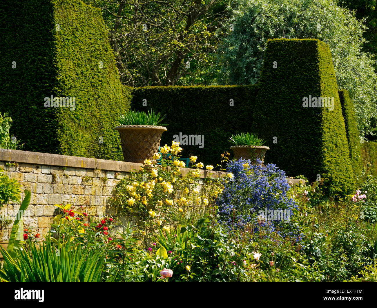 Der Garten am Renishaw Hall Derbyshire England UK Stockfoto