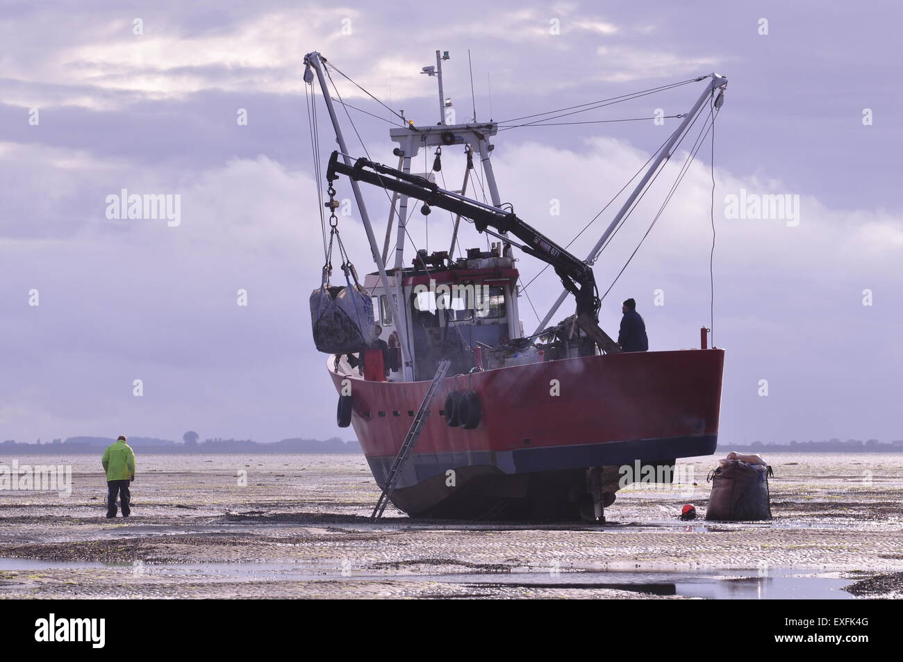 Das abwaschen, Boston, Lincolnshire, UK. 8. Juli 2015. Herzmuschel-Pflücker auf dem Sand Toft. Stockfoto