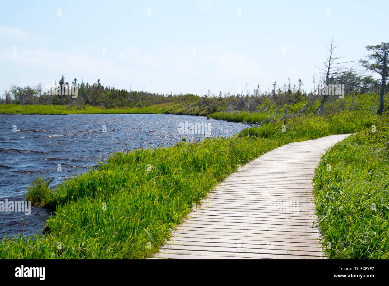 Ein Blick auf das Hochmoor auf dem Weg in nach Westen Brook Pond. Stockfoto