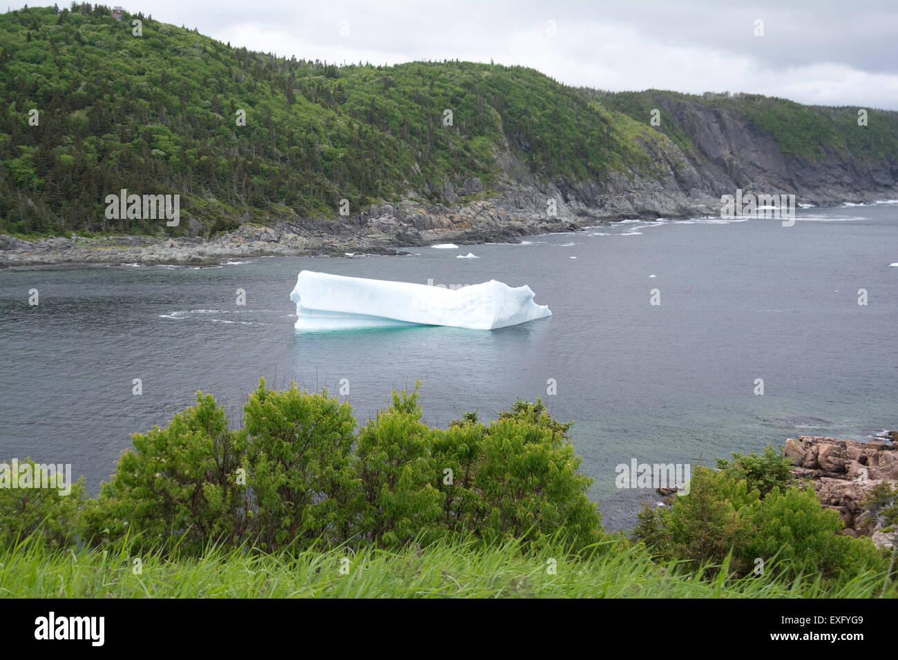 Ein Eisberg vor der Küste von Neufundland. Stockfoto