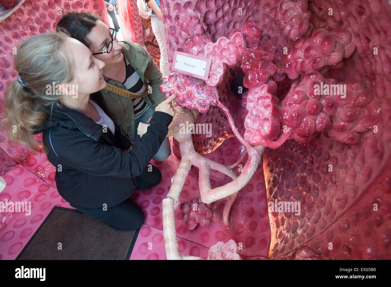 Zwei Frauen prüfen das Modell einer begehbaren menschlichen Lunge in Leipzig, Deutschland, 10. Juli 2015. Abteilungen der medizinischen Fakultät präsentieren ihre Arbeiten in verschiedenen Ausstellungen am Rande der Feierlichkeiten zum 600. Jahrestag der Universitätsmedizin Leipzig auf dem Augustusplatz, Leipzig, Deutschland, 10. Juli 2015. Der medizinische Campus umfasst 48 Abteilungen und Kliniken und gehört zu den größten und modernsten in Deutschland. Einige 3.000 Studenten besuchen die Fakultät. Foto: Peter Endig/dpa Stockfoto