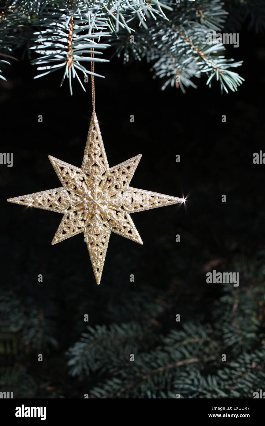 Dekoration am Weihnachtsbaum - Gold leuchtender Stern auf blau-Fichte Stockfoto