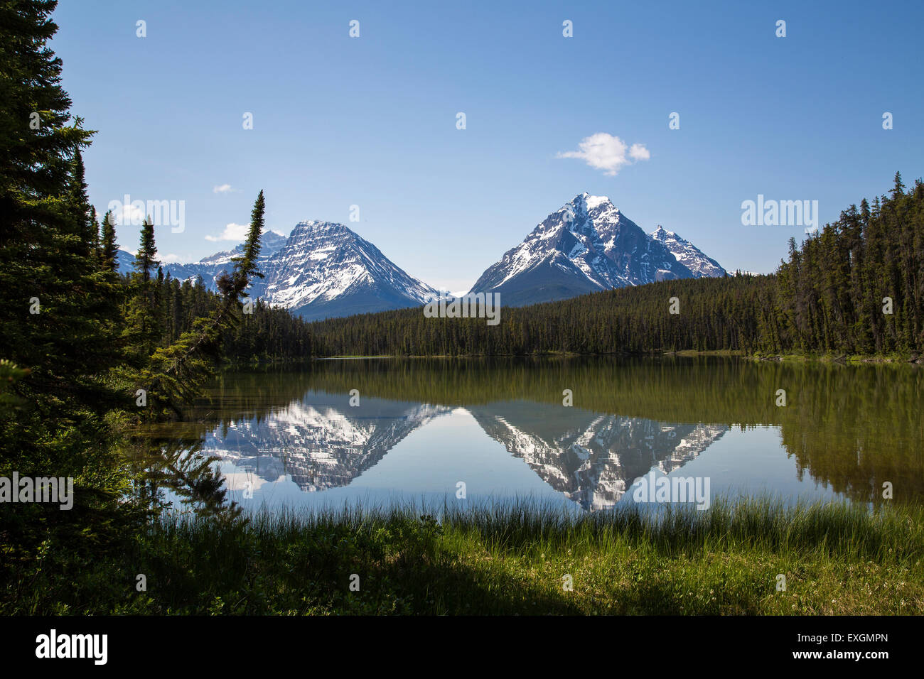 Ein Blick über einen ruhigen See im Jasper-Nationalpark, Kanada. Stockfoto