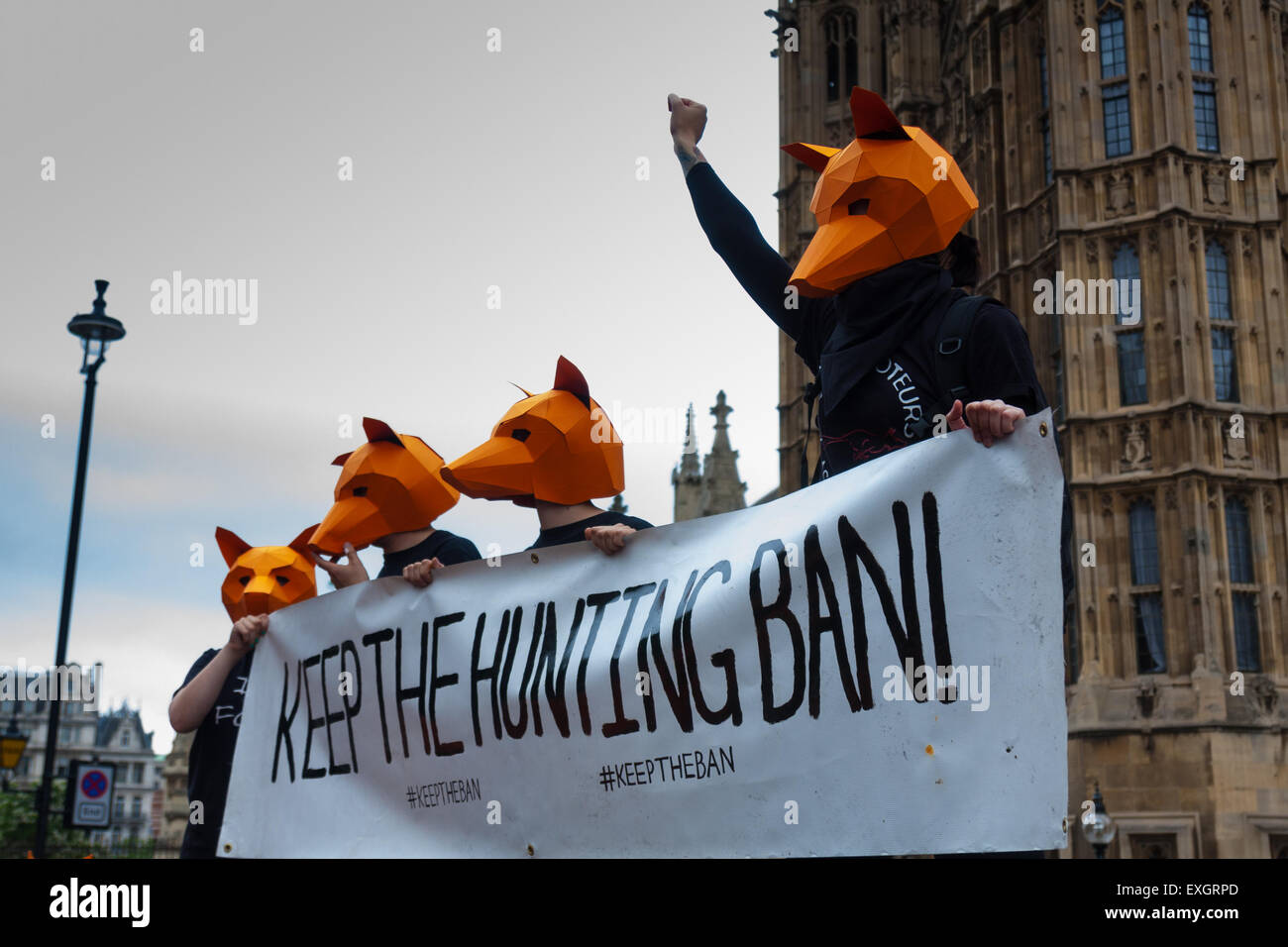 Westminster, London, 14. Juli 2015. Hunderte von Tierschützern und Mitglieder des Jagd-Saboteur erfassten Gruppen außerhalb des Parlaments zu "Kämpfen für THe Fox" wie grösserer beschreibt eine Änderung zum Gesetzentwurf Verbot Fuchsjagd, die den Sport sehen konnte zurück, die britische Landschaft. Bildnachweis: Paul Davey/Alamy Live-Nachrichten Stockfoto