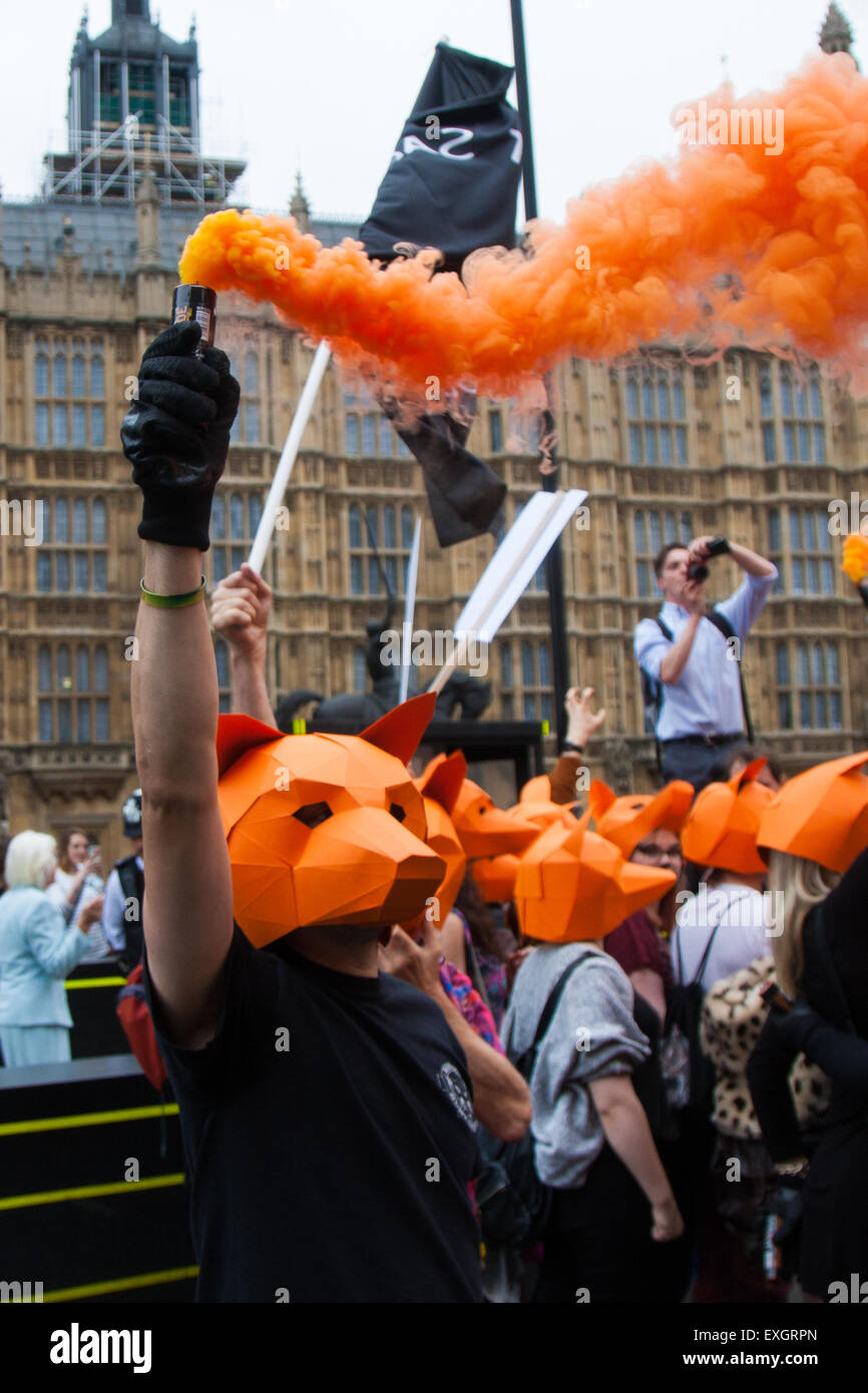 Westminster, London, 14. Juli 2015. Hunderte von Tierschützern und Mitglieder des Jagd-Saboteur erfassten Gruppen außerhalb des Parlaments zu "Kämpfen für THe Fox" wie grösserer beschreibt eine Änderung zum Gesetzentwurf Verbot Fuchsjagd, die den Sport sehen konnte zurück, die britische Landschaft. Bild: Fox-Masken tragen Aktivisten blockieren die Straße außerhalb des Parlaments. Bildnachweis: Paul Davey/Alamy Live-Nachrichten Stockfoto