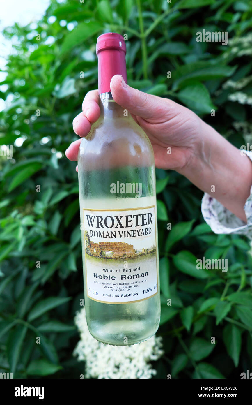 Eine Hand hält eine Flasche Wroxeter römischen Weinberg britische Wein aus Trauben, die in England UK KATHY DEWITT Stockfoto