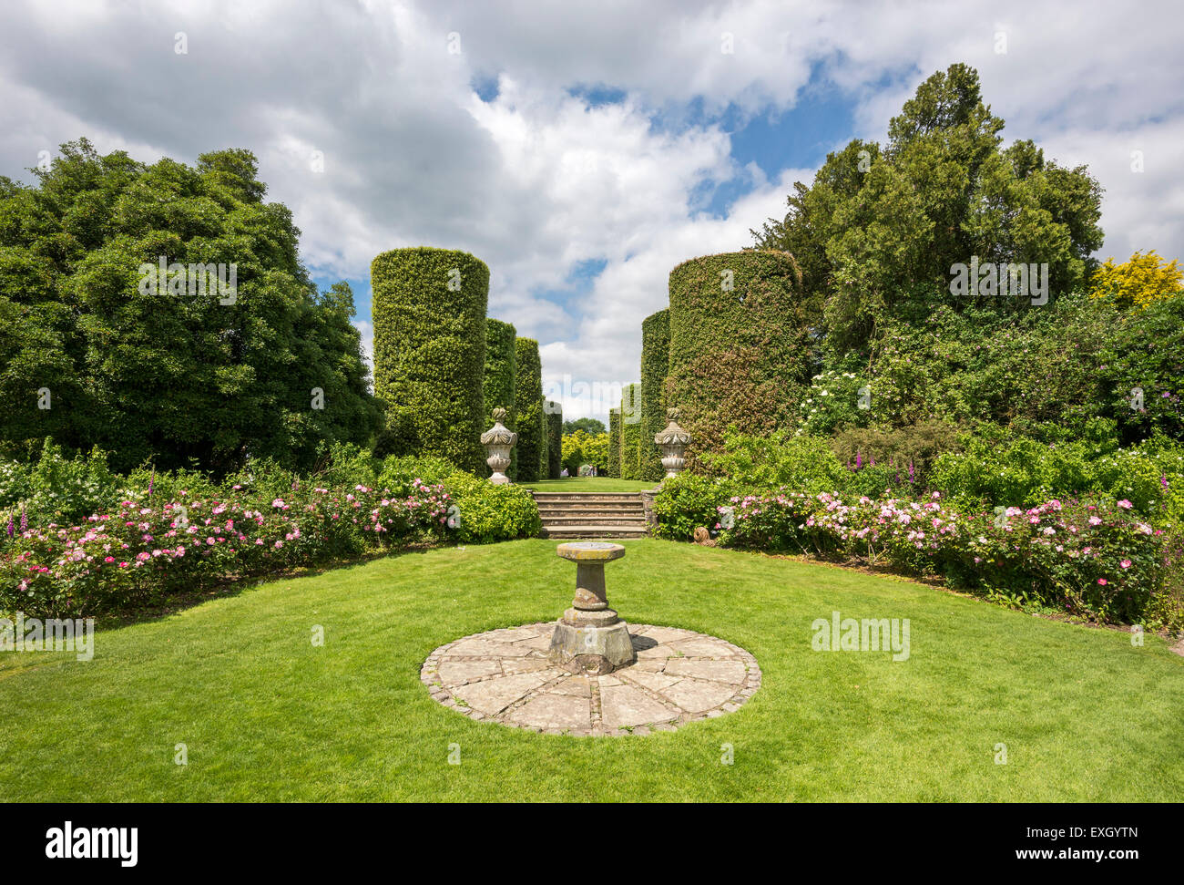 Abgeschnittene Steineichen unten die Schritte in einem Rosengarten mit Sonnenuhr Arley Hall Gardens in Cheshire, England zu führen. Stockfoto