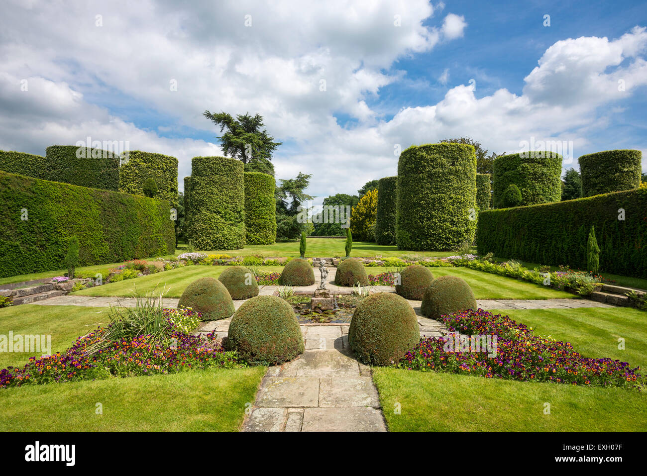 Versunkene Garten und abgeschnittene Steineichen Arley Hall Gardens in Cheshire, England. Stockfoto