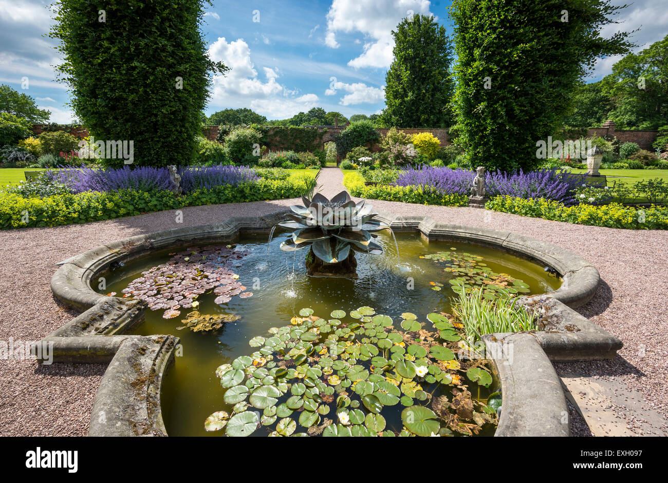 Wasserspiel Seerose und Pool der Seerosen im Arley Hall Gardens in Cheshire, England. Stockfoto