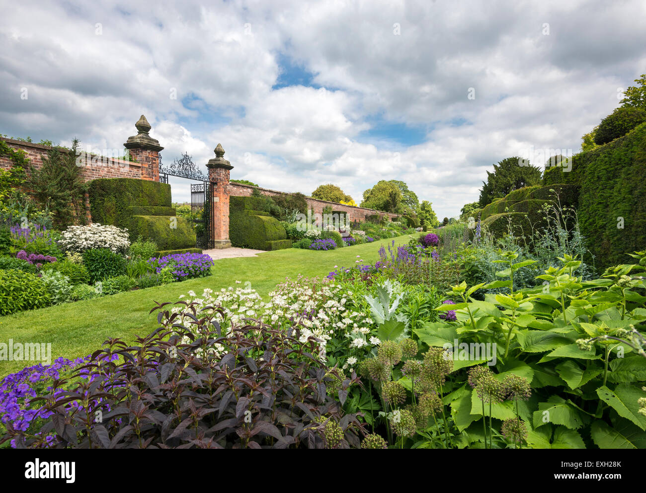 Berühmte doppelte Staudenrabatten Arley Hall in Cheshire. Frühsommer Grenze Pflanzen in Blüte. Stockfoto