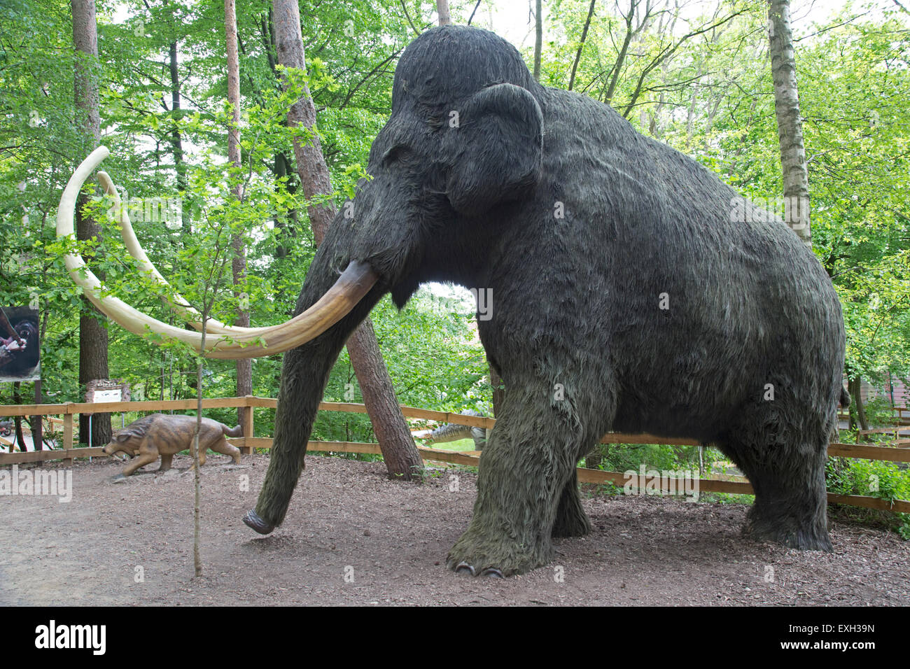 Wolliges Mammut Mammuthus Primigenius ausgestorbene große Säugetier Dinosaurier-Park Deutschland Stockfoto