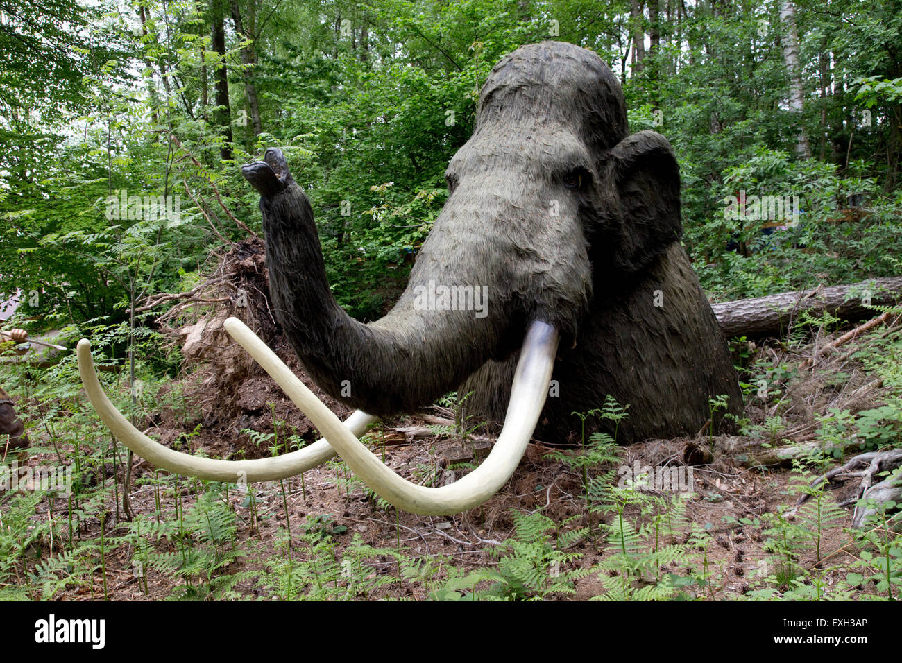 Wolliges Mammut Mammuthus Primigenius ausgestorbene große Säugetier Dinosaurier-Park Deutschland Stockfoto