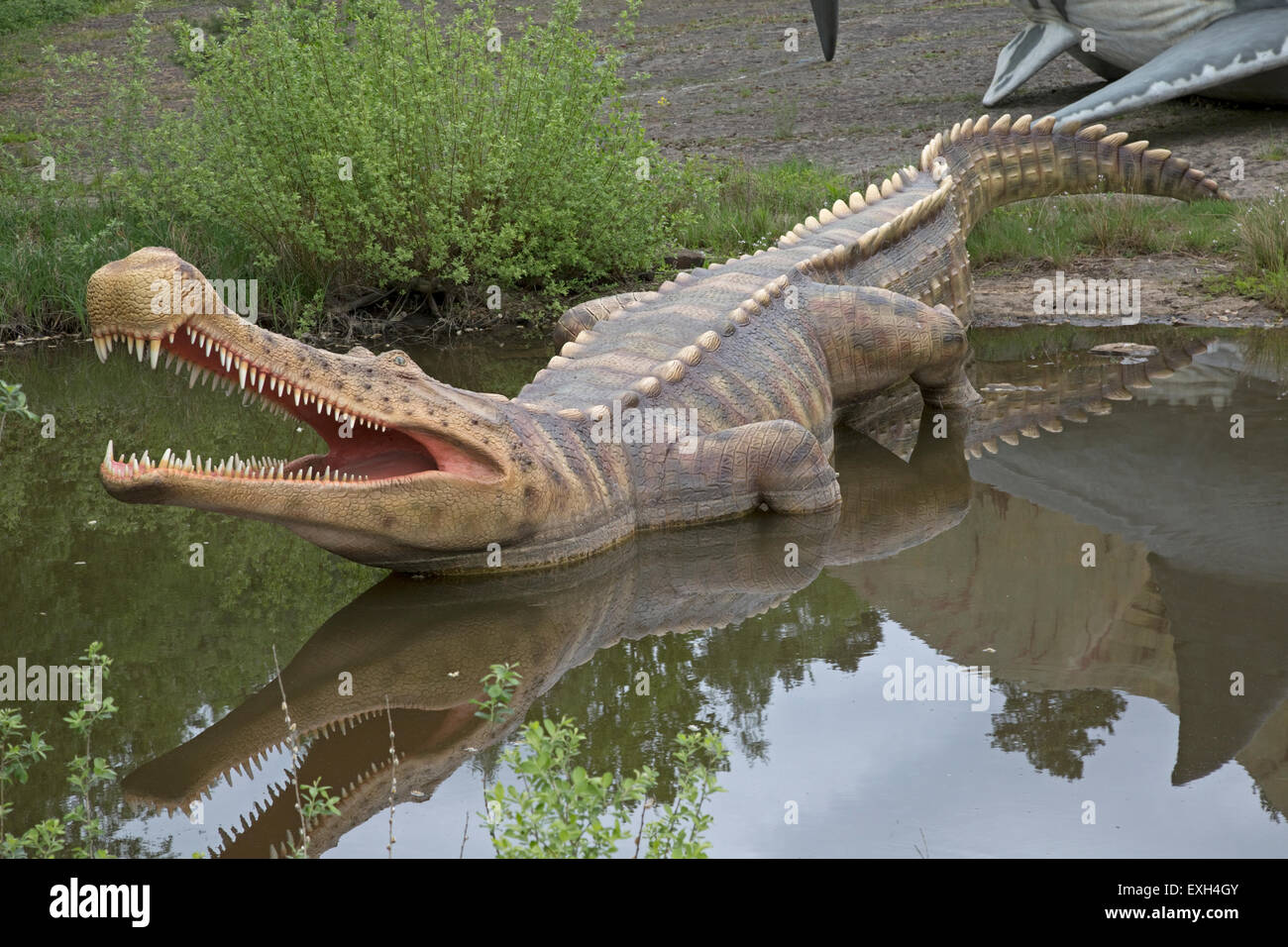 Sarcosuchus einer ausgestorbenen Riesen Krokodil Kreidezeit Dinosaurier