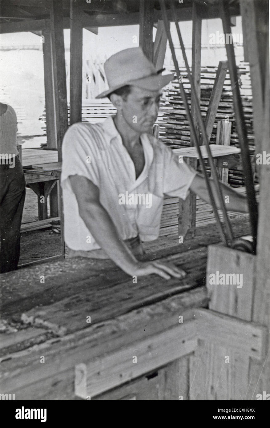 Dieses Bild zeigt eine Sägeoperation ziviler Mitarbeiter des öffentlichen Dienstes in Mulberry, Florida. Diese Arbeiter, einschließlich Kriegsdienstverweigerer während des Zweiten Weltkriegs, trugen zu nicht kämpfenden Dienstleistungsanstrengungen in Bereichen wie Forstwirtschaft und Umweltschutz bei. Stockfoto