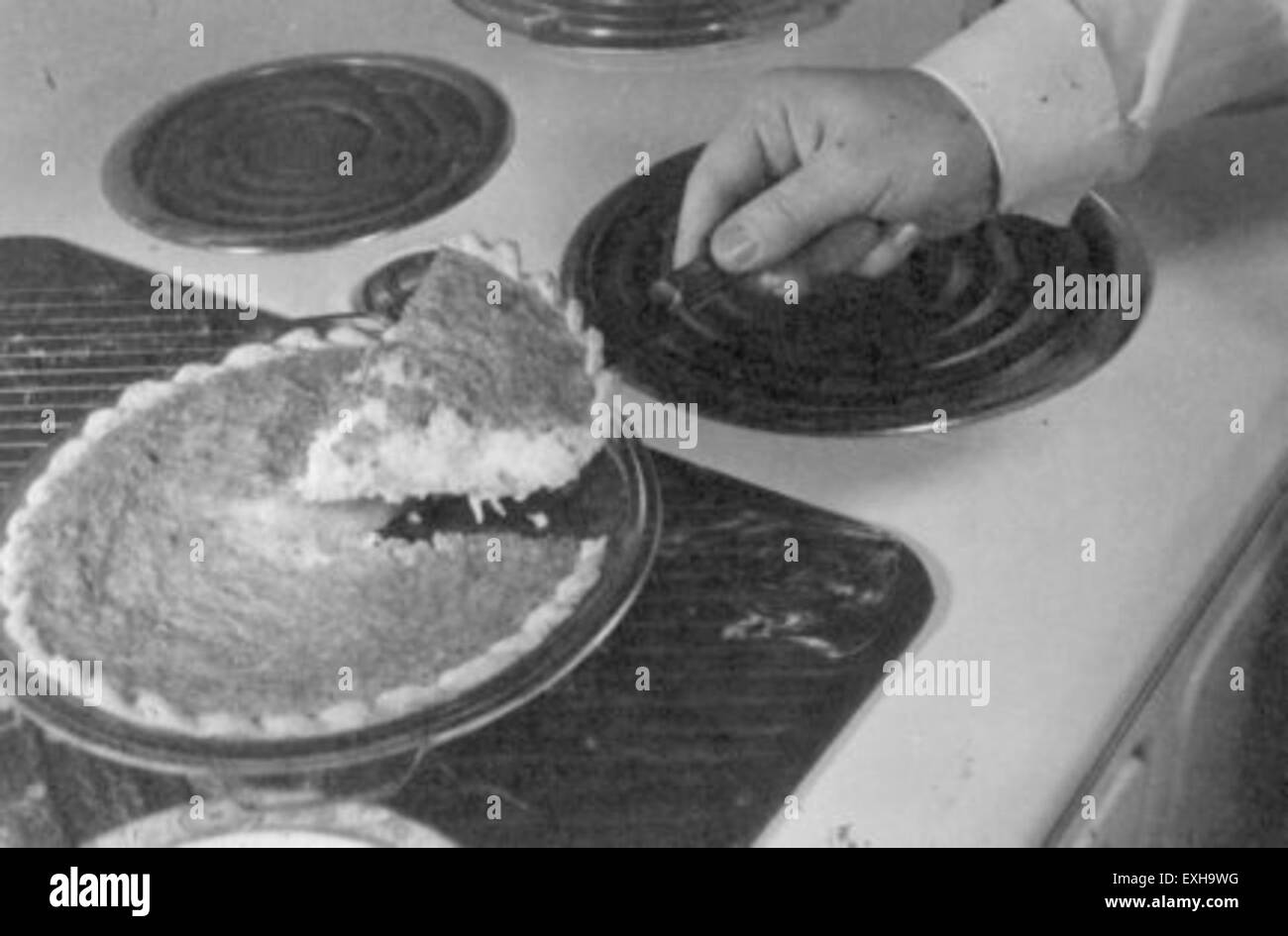 Ein hausgemachter Kokosnusskuchen aus Goshen, Indiana, der die kulinarischen Traditionen der mennonitischen Gemeinde hervorhebt. Die Mennonites in Goshen sind bekannt für ihre Gastfreundschaft und ihre Küche vom Bauernhof bis zum Tisch. Stockfoto