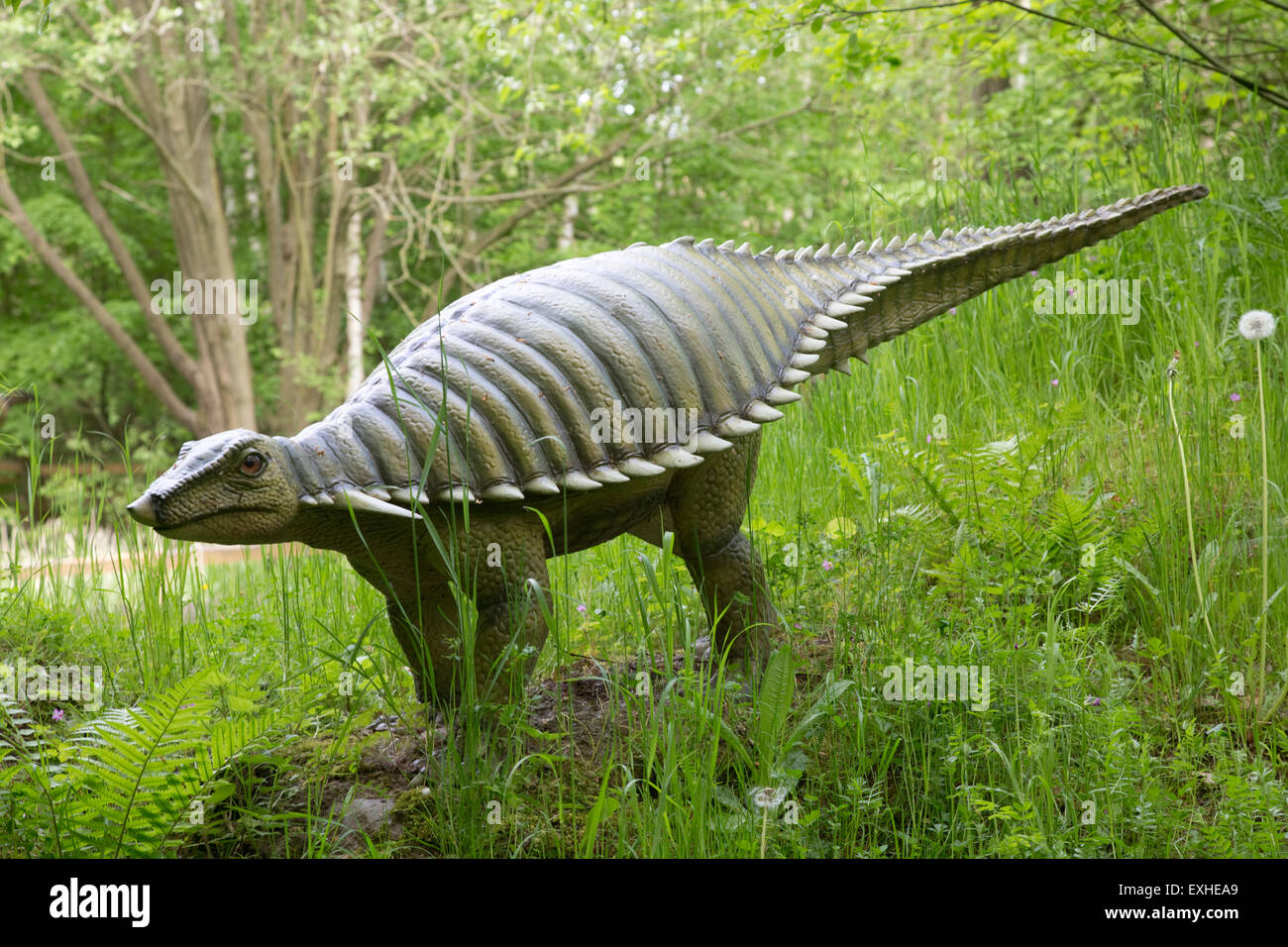 Typothorax ausgestorben pflanzenfressenden Aetosaur aus späten Triassic Dinosaurier Park Deutschland Stockfoto