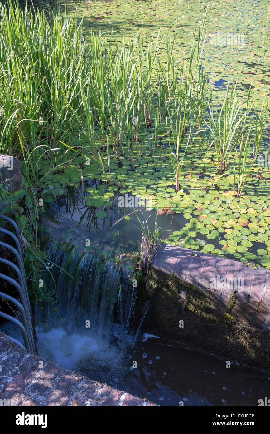 Teichwasser und Canal Überlauf bei Caen Hill Locks Devizes Stockfoto