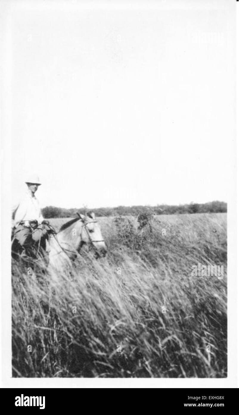 Ein Foto eines Mannes, der auf einem Pferd reitet und die Bewegung und Anmut des Reiters und des Tieres festnimmt. Das Bild konzentriert sich auf die Verbindung zwischen den beiden Motiven in einer dynamischen und natürlichen Umgebung. Stockfoto