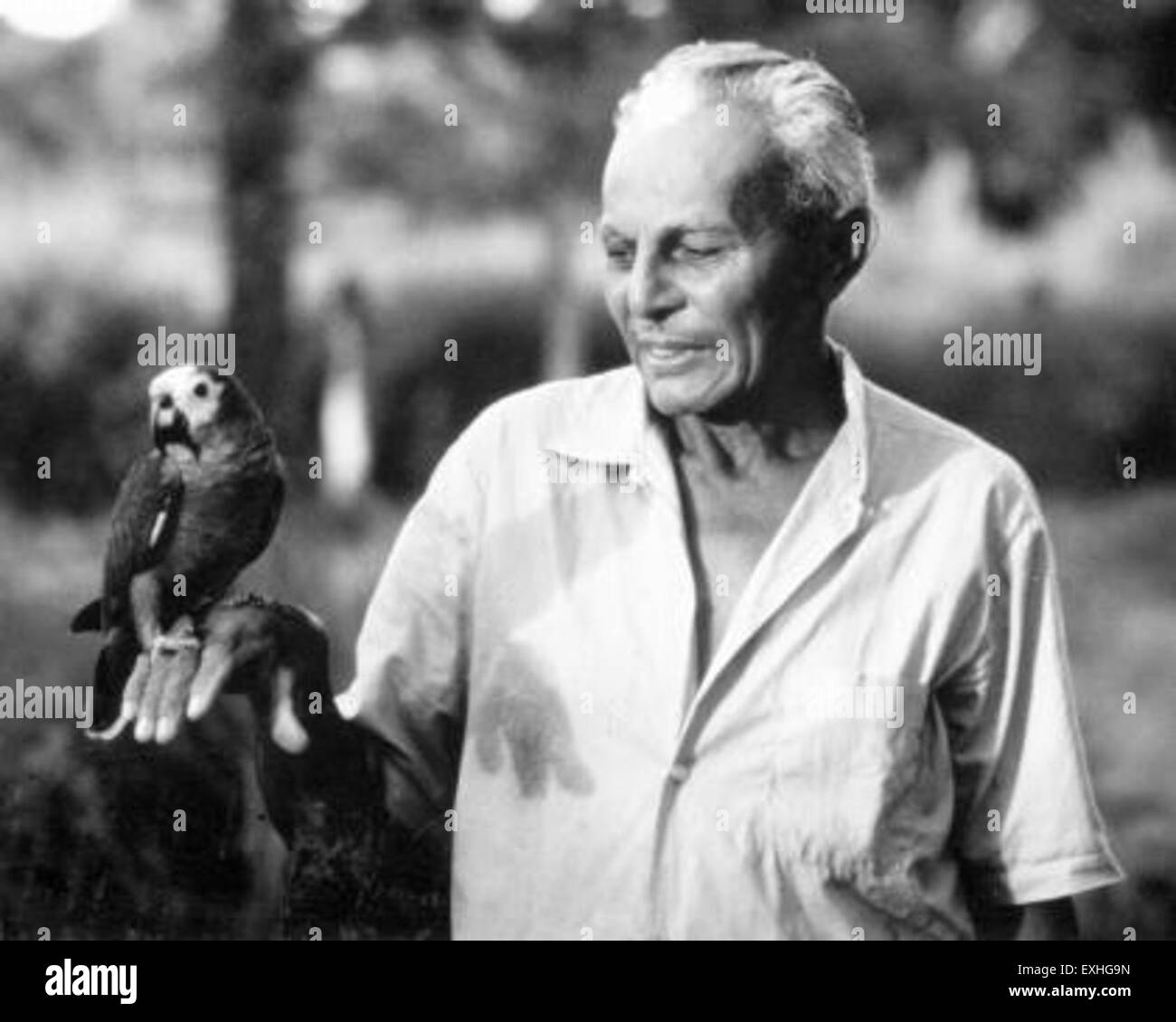 Dieses Bild zeigt einen Mann in der Hand eines Papageiens aus einer Illustration des Mennonite Board of Missions in Brasilien. Die Darstellung zeigt die kulturelle Bedeutung der Tierwelt in der brasilianischen Kunst und die Beziehung der Region zur Natur. Stockfoto