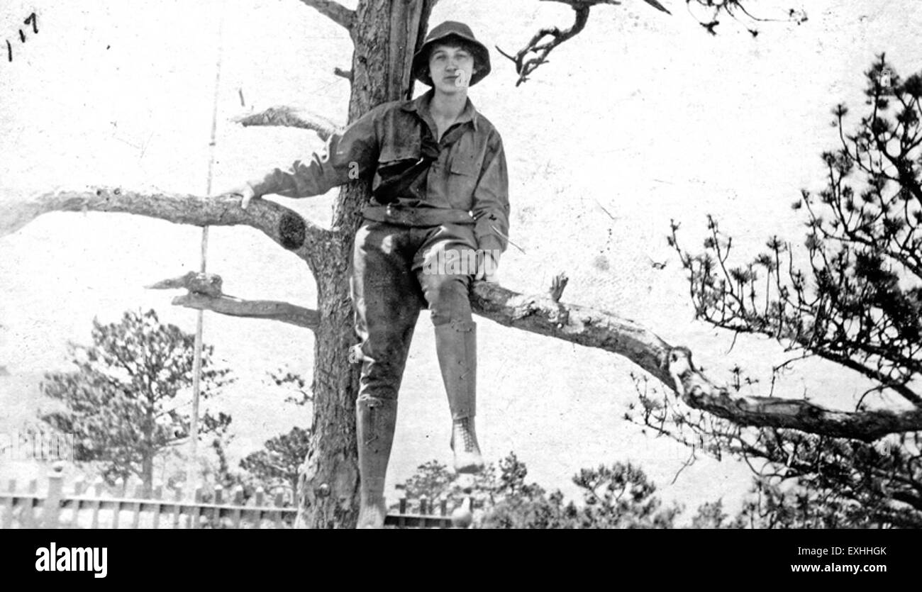 Dieses Kunstwerk oder Foto zeigt eine Frau, die auf einem Baum sitzt, und bietet eine friedliche und reflektierende Komposition. Die natürliche Umgebung betont die Harmonie mit der Natur und vermittelt ein Gefühl der Gelassenheit und Verbundenheit mit der Umwelt. Stockfoto