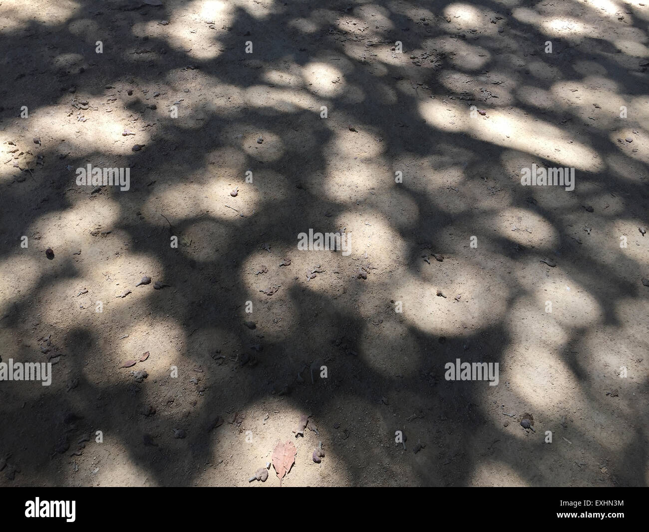 Schatten auf der Straße Stockfoto