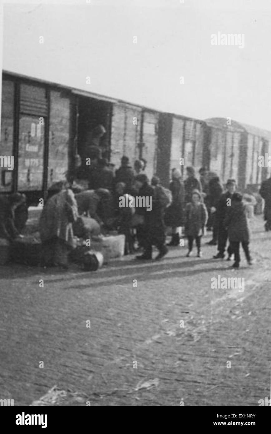 Dieses Foto zeigt russische Flüchtlinge während einer Zeit der Vertreibung und erfasst die menschlichen Kosten des Krieges und der politischen Unruhen. Flüchtlinge aus Russland suchten in Konfliktzeiten in verschiedenen Ländern Asyl, was bedeutsame Ereignisse in der Geschichte des 20. Jahrhunderts darstellt. Stockfoto