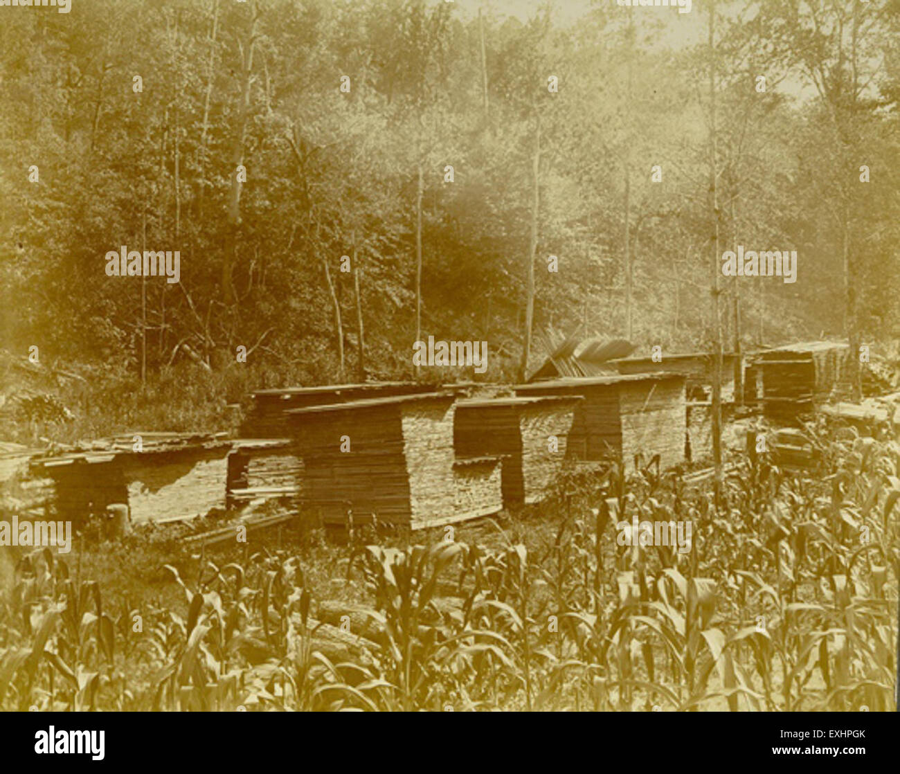 Ein Foto oder eine Illustration, das gestapeltes Holz bei der Austell Improvement Company zeigt, aufgenommen von John F. Funk, und zeigt die damaligen industriellen Praktiken. Stockfoto