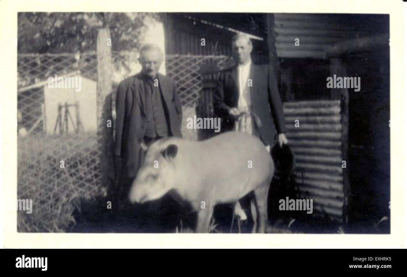 Dieses Bild ist eine künstlerische Darstellung von Toews und Funk, zusammen mit einem Tapir. Es kann eine Mischung aus historischen oder fiktiven Elementen darstellen, die Individuen und Tiere zusammen in einem kreativen Format darstellen. Stockfoto