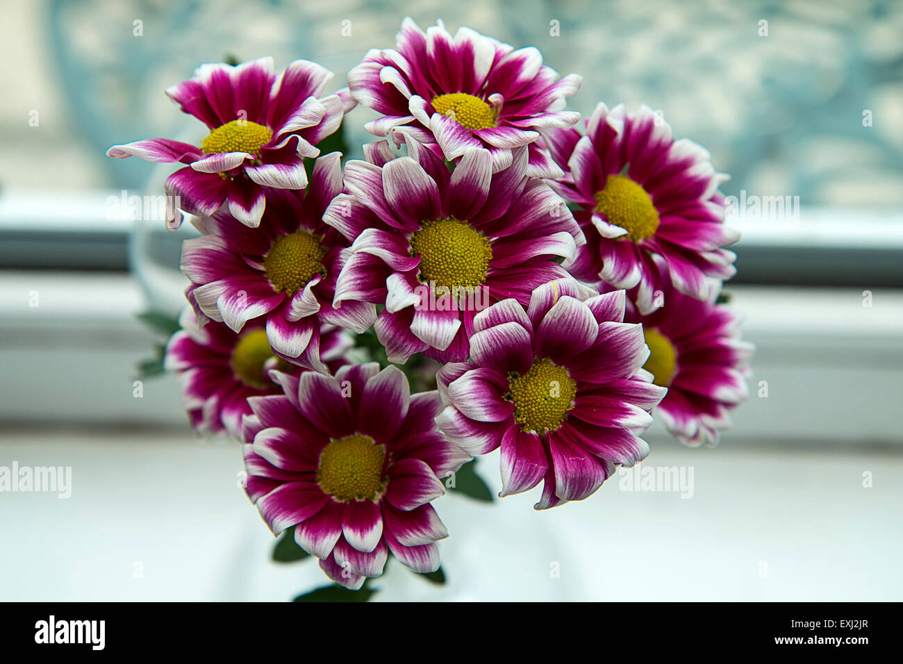 Stillleben mit einer Vase mit Chrysanthemen Stockfoto