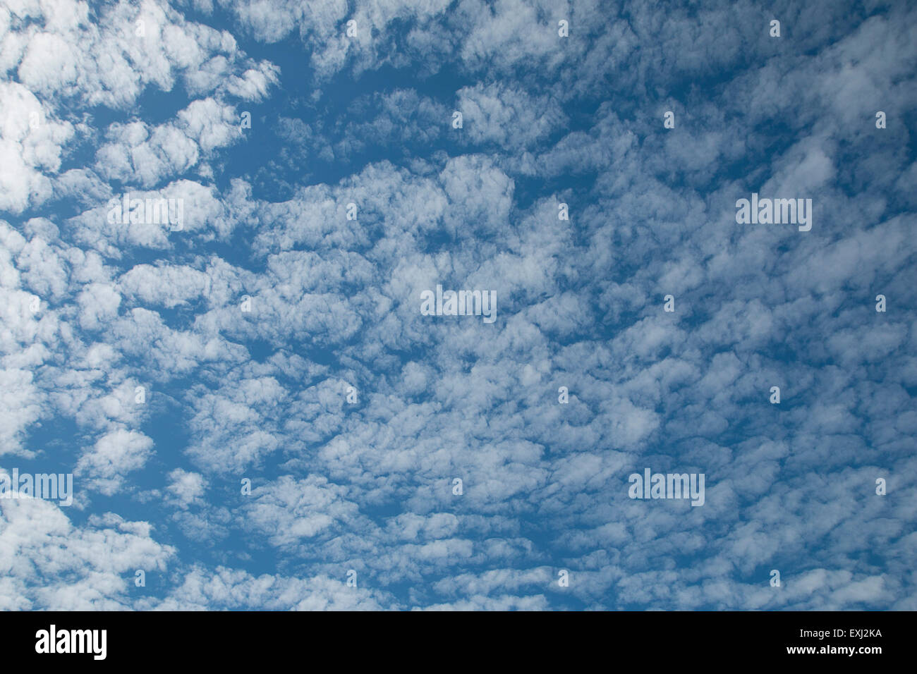 Wolkenbildung, allgemein bekannt als Makrele oder Buttermilch Himmel Stockfoto