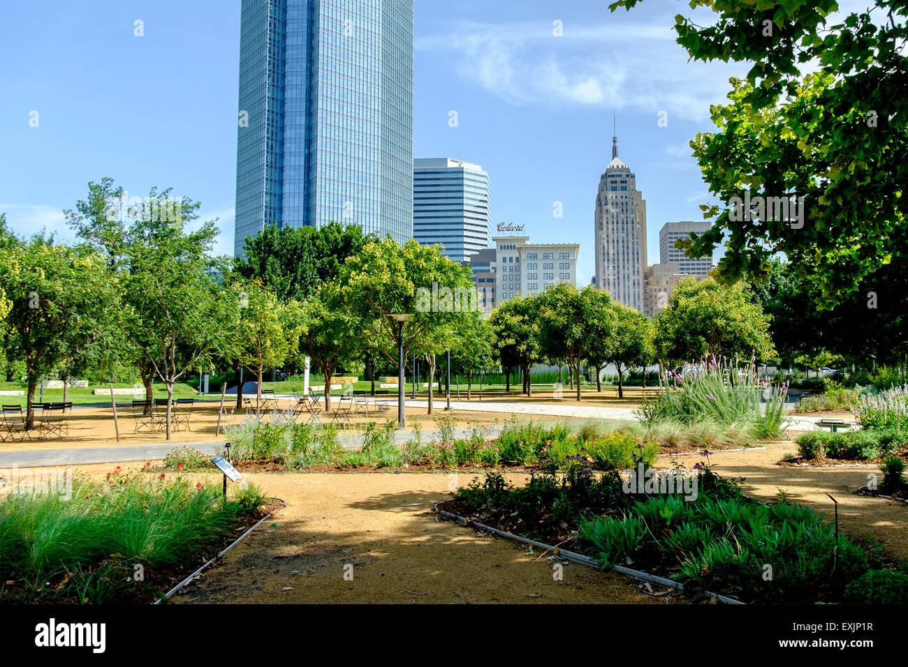 Blick durch die Vordergrund-Gärten von Myriad Botanical Gardens auf die Skyline der Innenstadt von Oklahoma City, Oklahoma, USA. Stockfoto