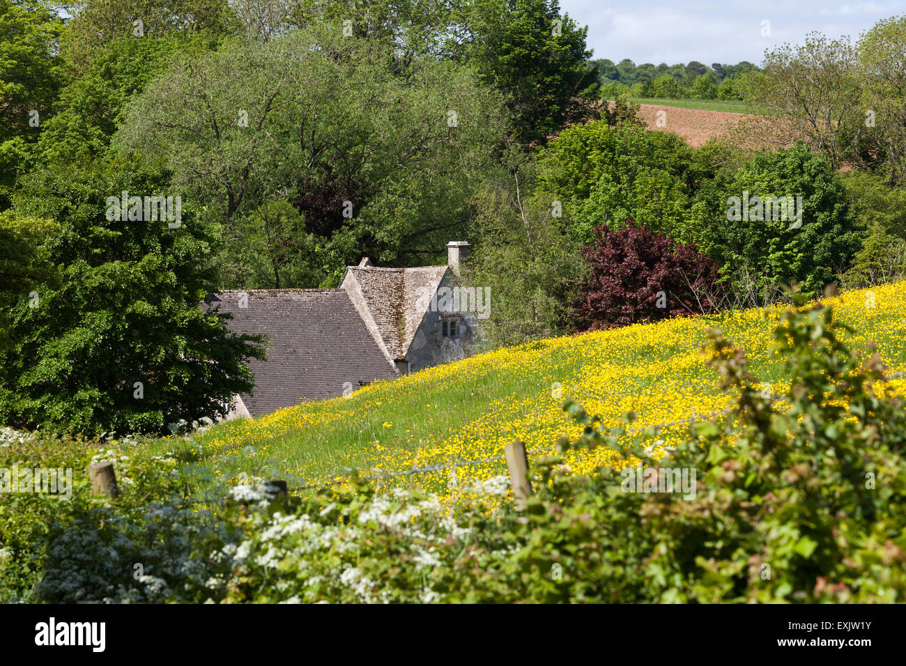 Einen Einblick in das Bauernhaus im steilen Tal von Cotswold Dorf des mittleren Duntisbourne, Gloucestershire UK Stockfoto