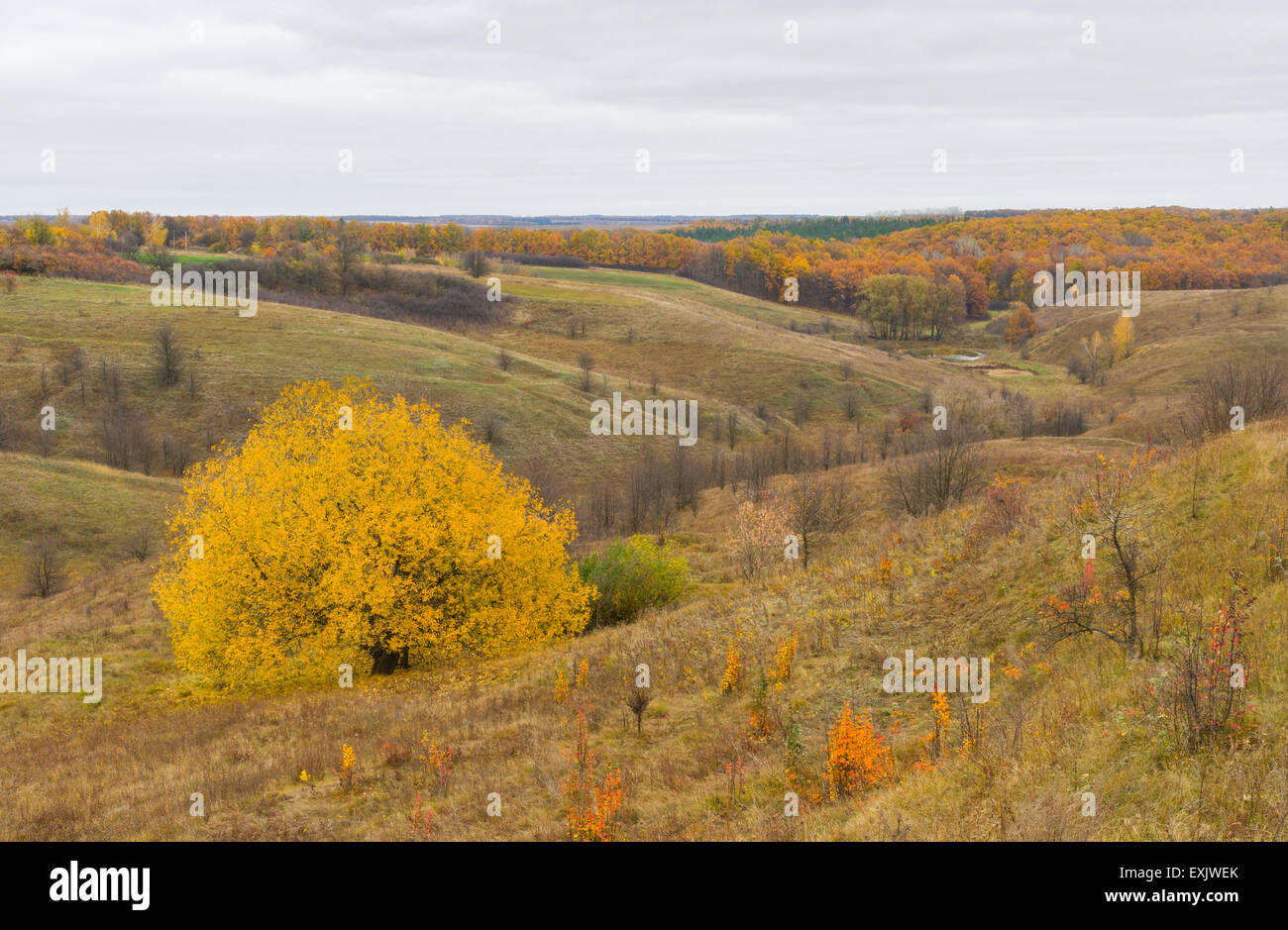 Herbstliche Landschaft im ländlichen Raum in die Zentralukraine Stockfoto