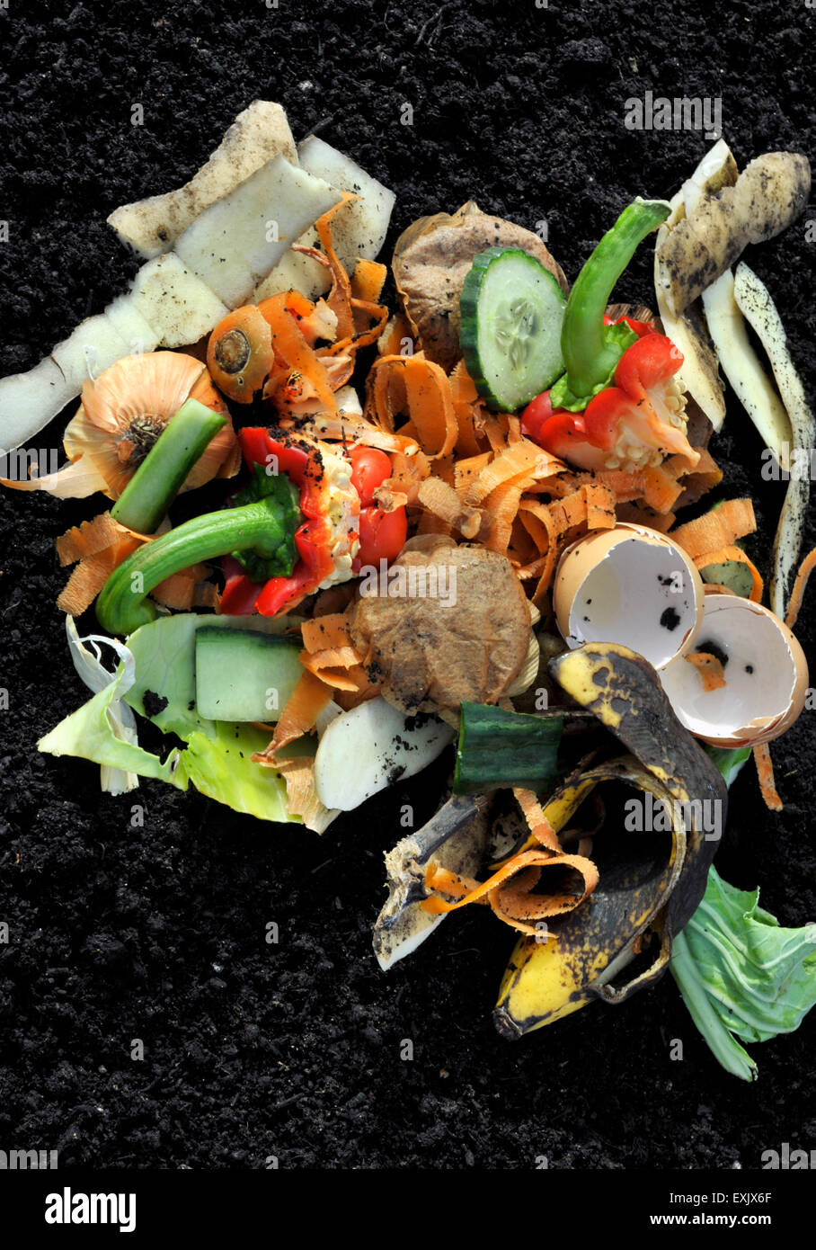 Küche Gemüse Hausmüll recycling. Stockfoto
