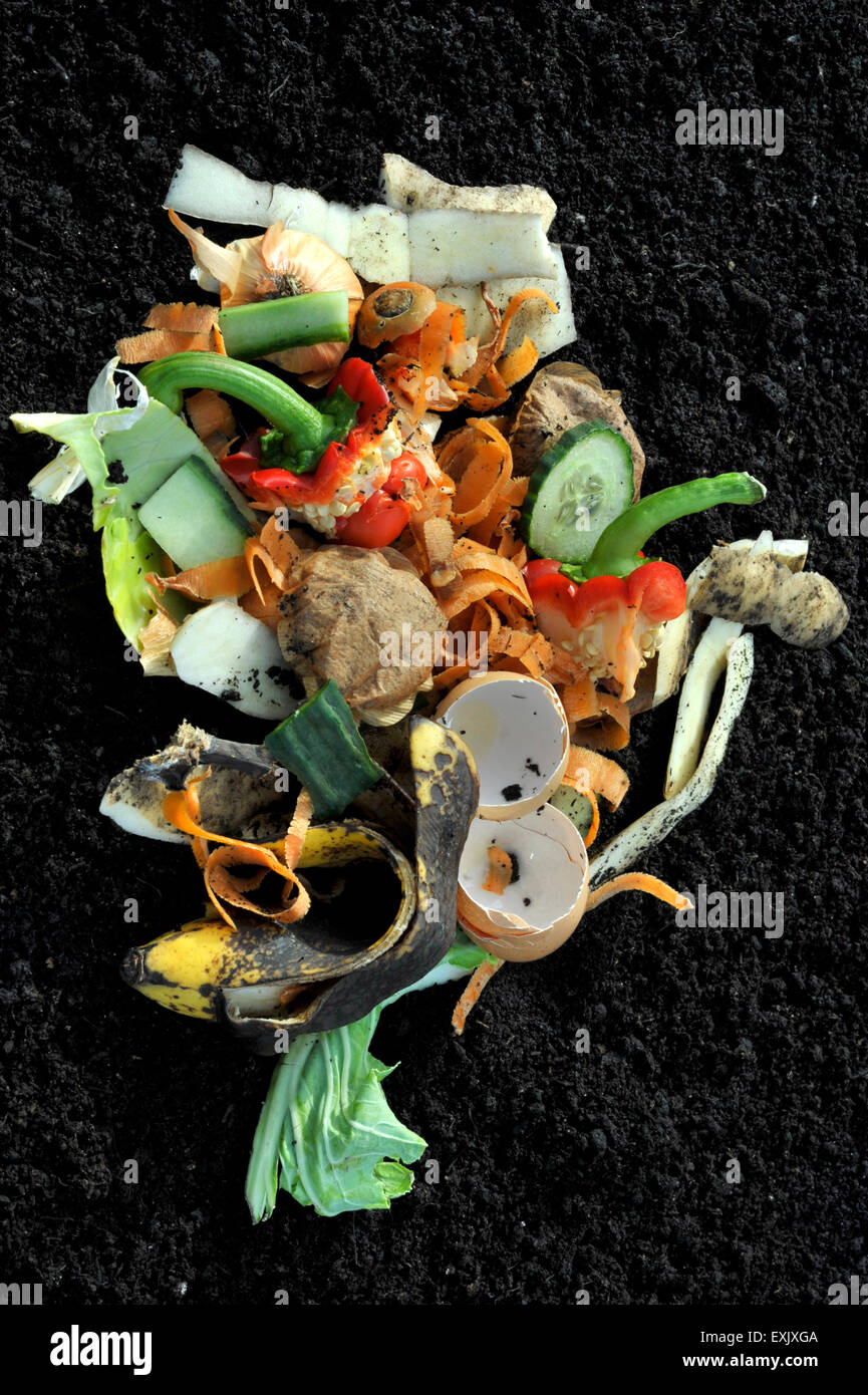 Küche und Haushalt Gemüse Abfallrecycling. Stockfoto