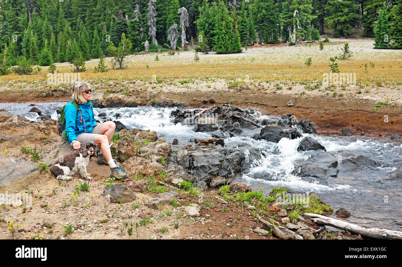 Ein Wanderer und ihr Cocker Spaniel sitzen neben einem Gebirgsbach in Oregon Cascade Mountains in der Nähe von gebrochenen Top Peak. Stockfoto