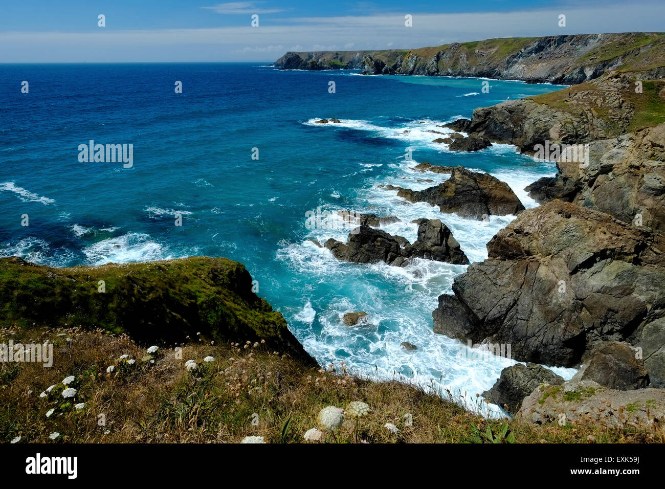 Felsige Küste in der Nähe von Caerthillian Bay, Lizard, Cornwall, UK, aus South West Coastal Path Stockfoto