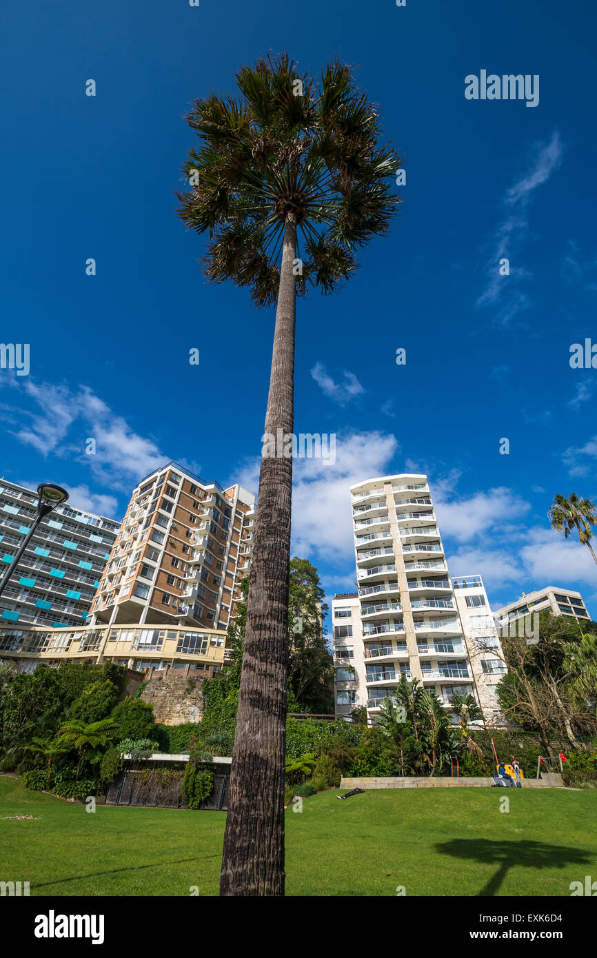 Wohnung Blöcke, Potts Point, Sydney, Australien Stockfoto