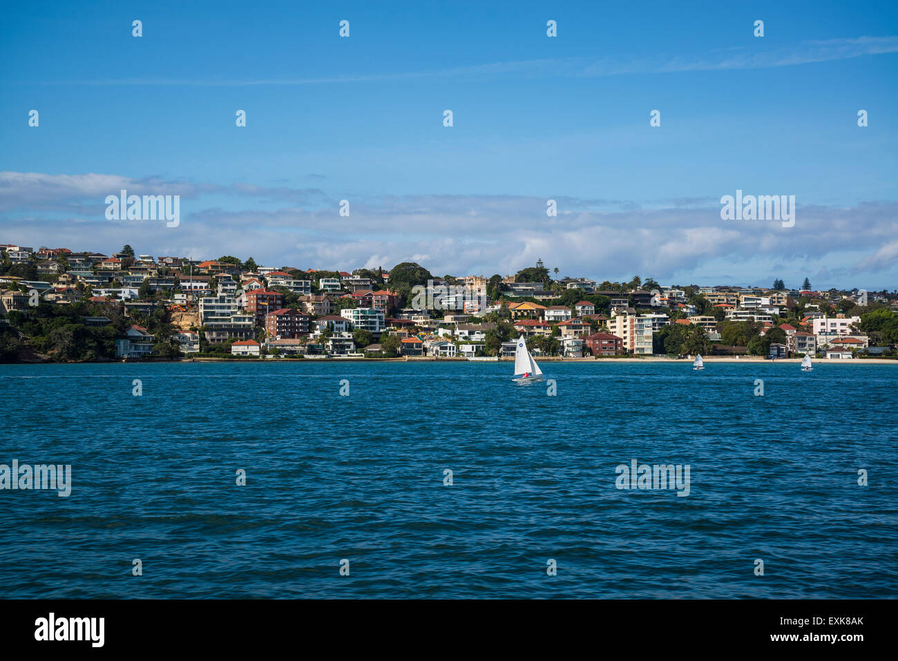 Rose Bay, Sydney, Australien, Australien Stockfoto