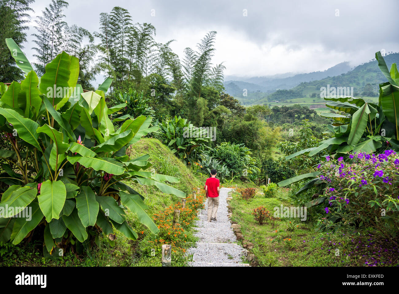 Gepflasterten Pfad in einem Garten. Mindo, Ecuador. Stockfoto