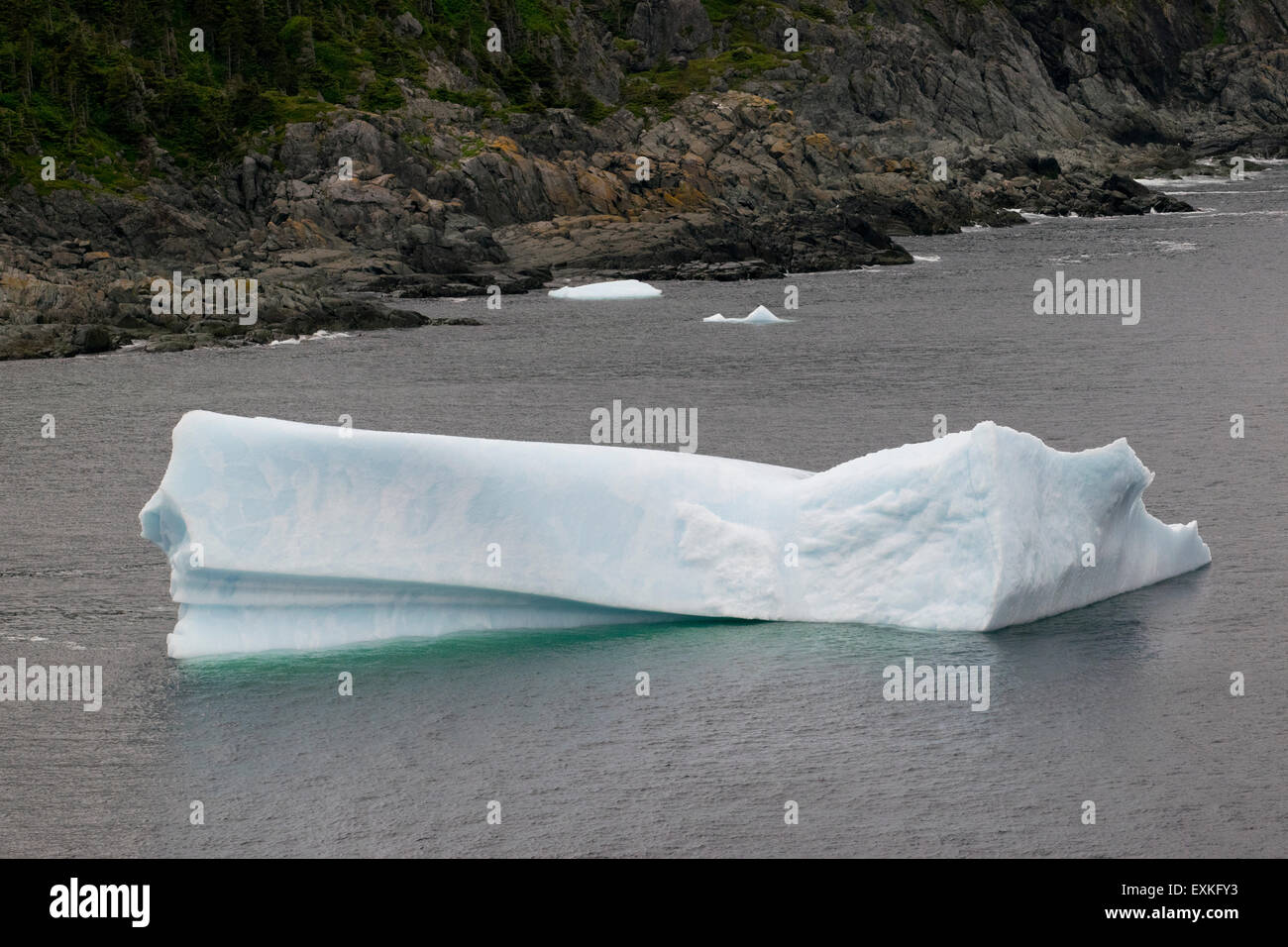 Ein Eisberg entlang der Küste von Neufundland. Stockfoto