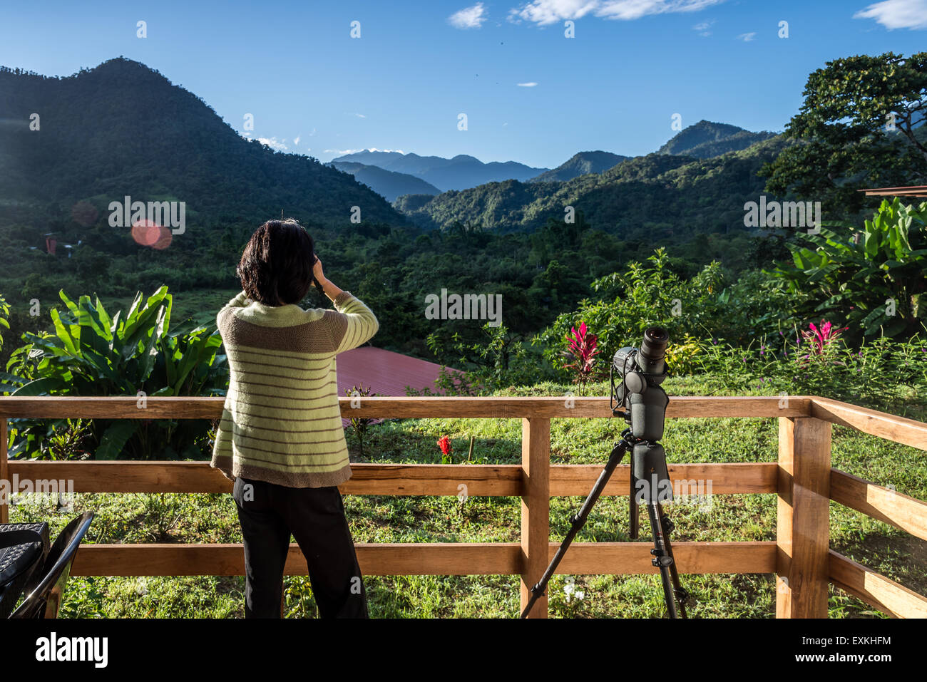 Ein weiblicher Vogelbeobachter blickt den üppig grünen Wald von einer Terrasse. Mindo, Ecuador. Stockfoto