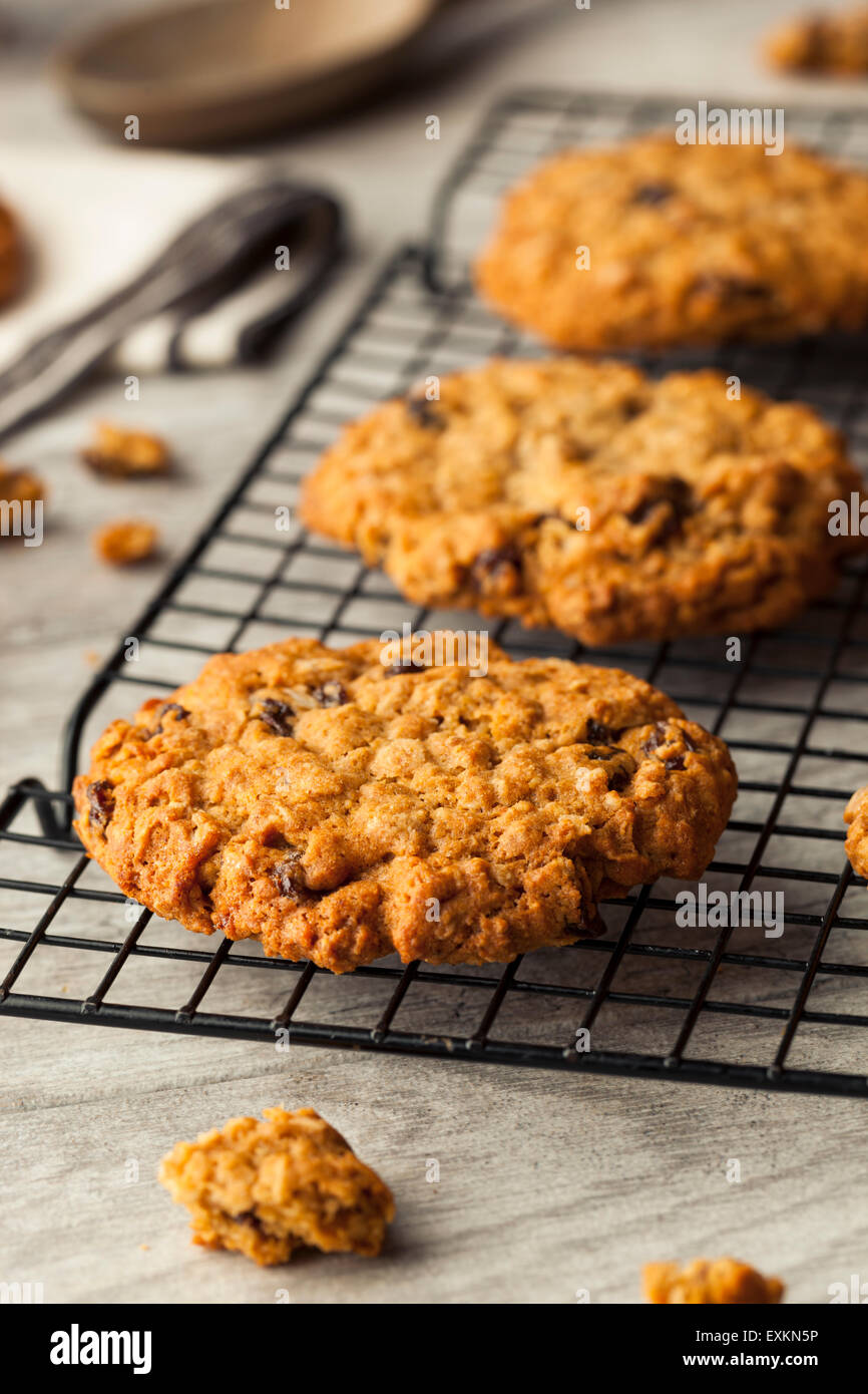 Hausgemachtes Müsli mit Rosinen Cookies bereit, Essen Stockfoto