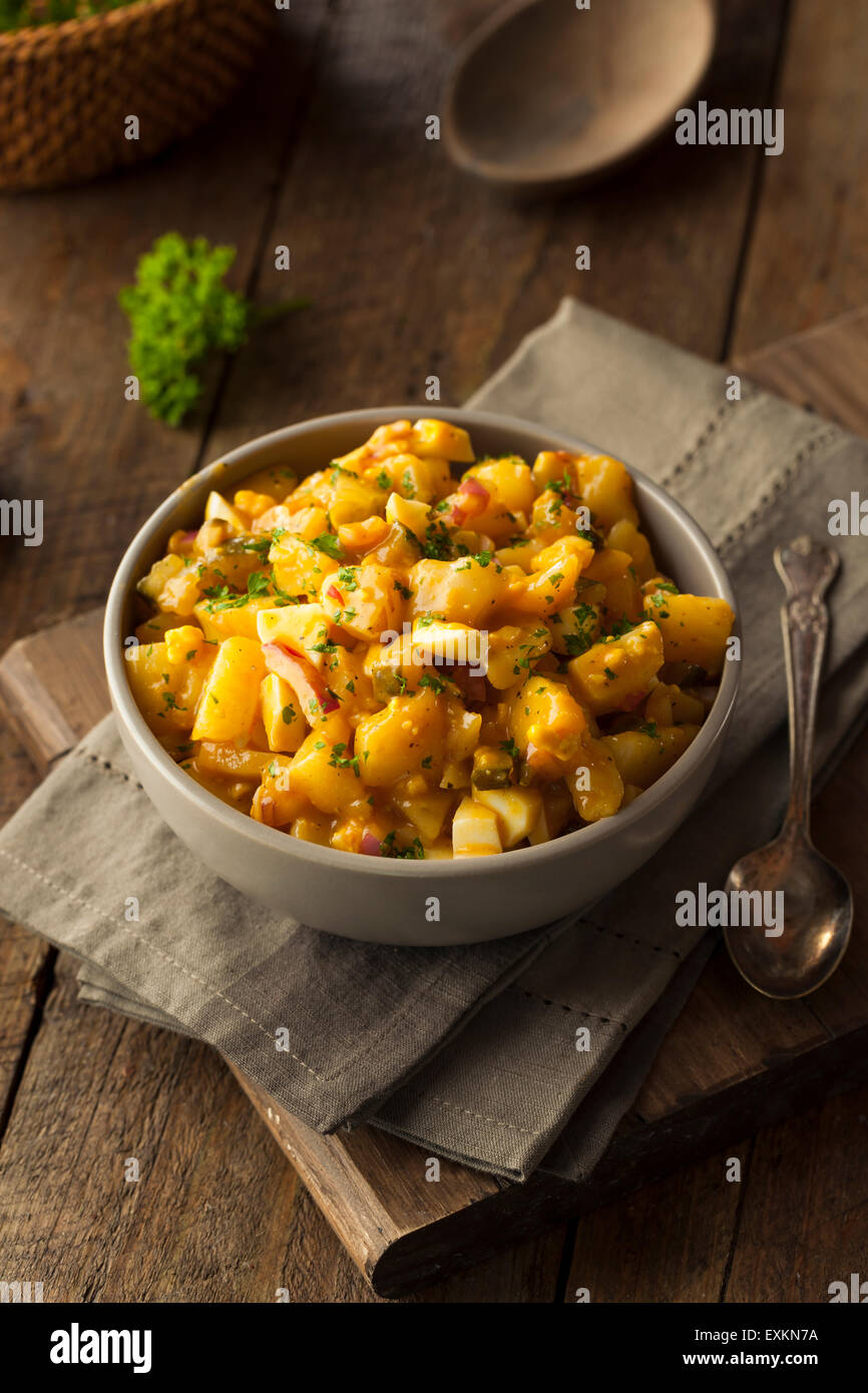Barbecue-Sauce-Kartoffel-Salat mit Ei und Zwiebeln Stockfoto